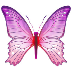 papillon rose