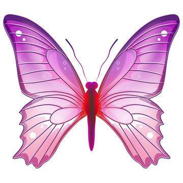 papillon rose