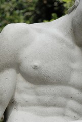 männertorso