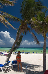 Fototapeta na wymiar mexico on beach toma under palm