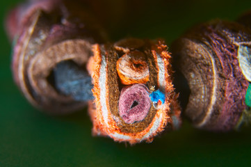 bead of a leather bracelet