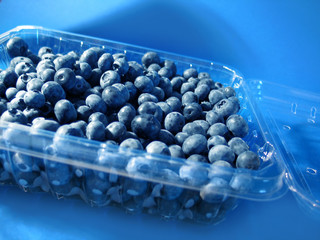 blueberries in container