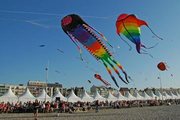 festival de cerf-volants à dieppe - obrazy, fototapety, plakaty