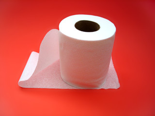 toilet paper