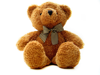 teddy bear