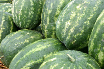 watermelons