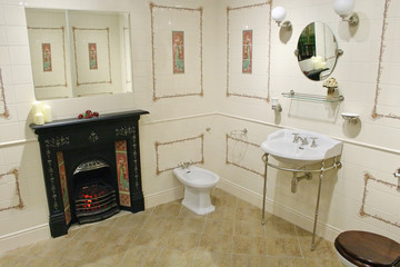toilet with fireplace