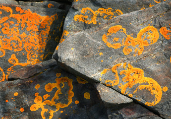 decorative rocks