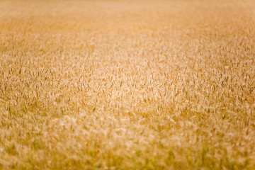 060805-0012