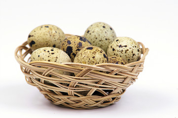 egg