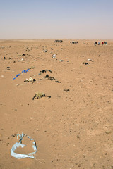 sacs plastique dans le désert