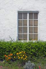 window on white wall with flowers