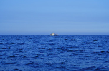 Obraz premium deep blue sea