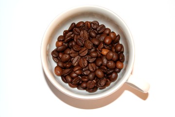 coffee