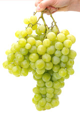 grappe de raisin