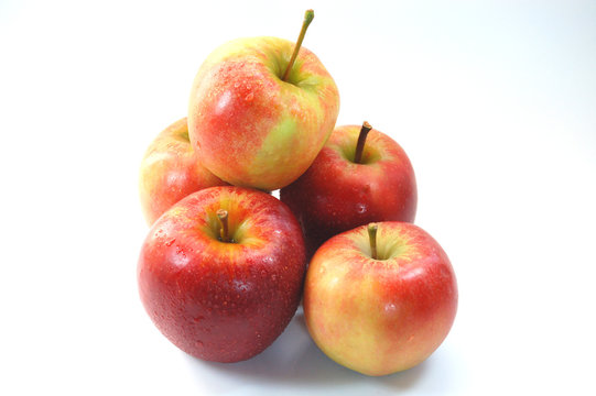 &auml;pfel, elster lose