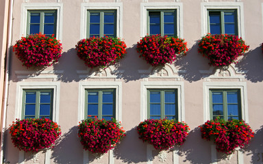 close flower facade