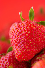 bright red strawberry
