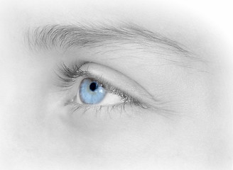 soft eye