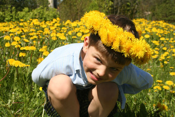 child and dandelions