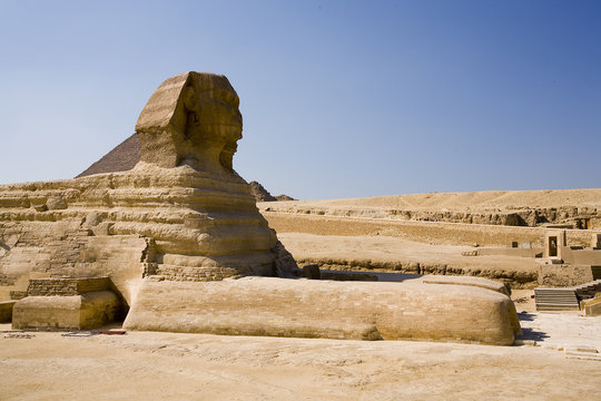 sphinx
