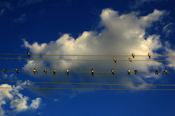 avant le depart © Ralitza Soultanova