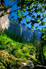 yosemite national park
