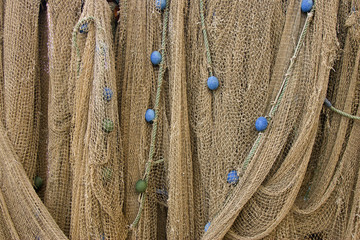 draped nets