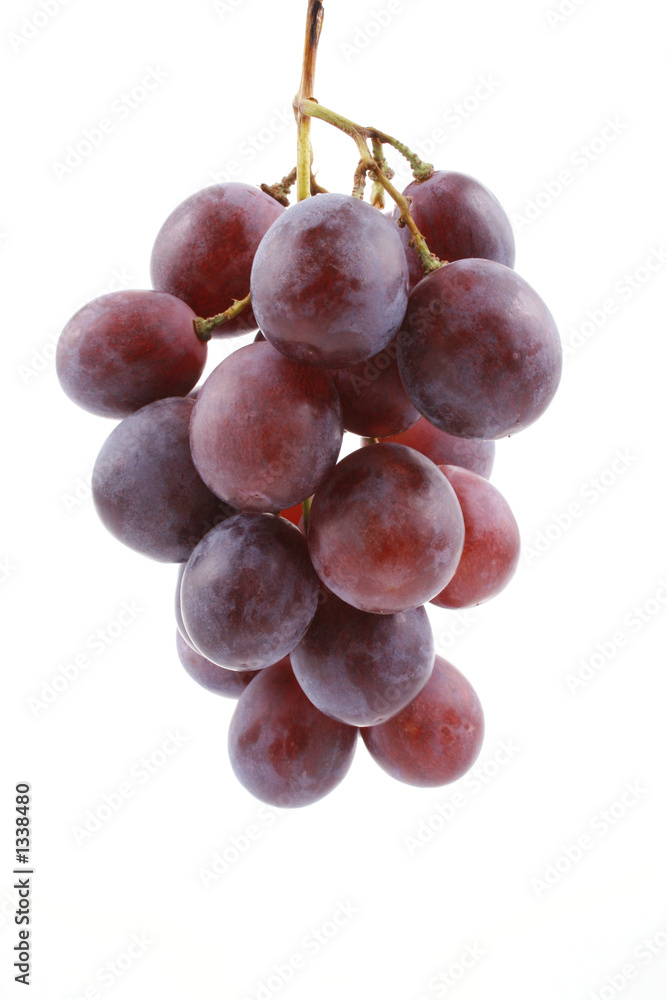 Wall mural grapes