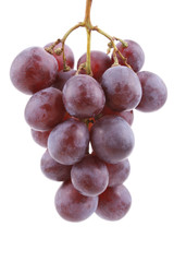 grapes