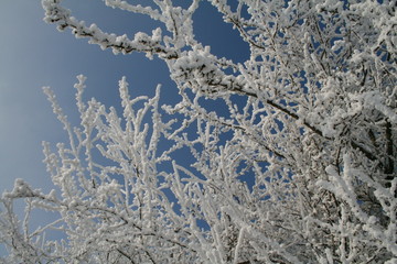 schnee vor blau