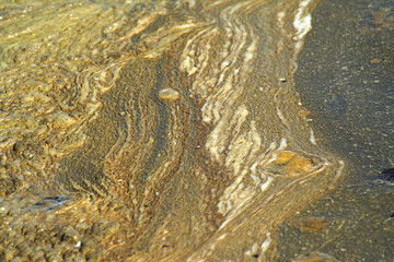 background. infringement of ecology.
