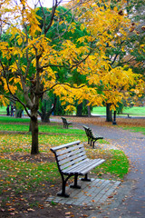 Fototapeta premium boston public garden