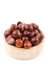 chestnuts