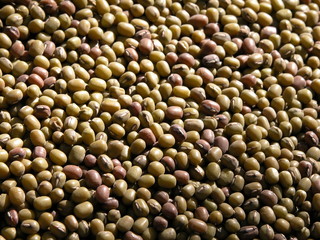 mung beans