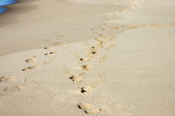 footprints on the beach of lake Superior, Michigan