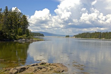 view from schoodic peninsula