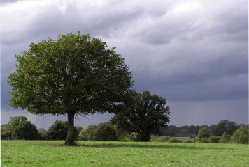 Fototapeta na wymiar 0506-ciel d'orage