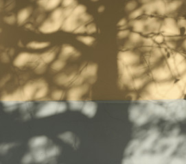 shadow patterns