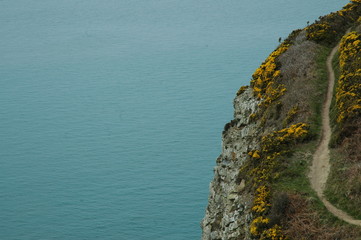 a path