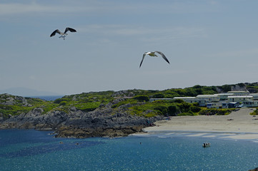 irish landscape