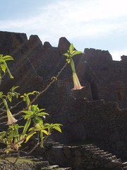 ruins in sun