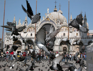 markusplatz venedig