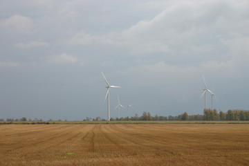 windfarm