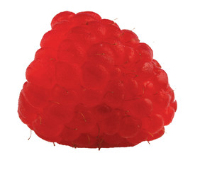 red and juicy raspberry