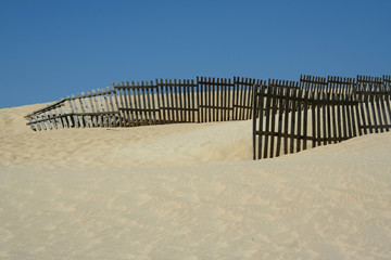 dune de paloma