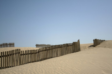 dune de paloma