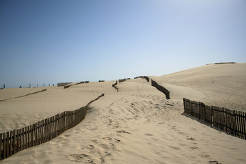 dune de paloma