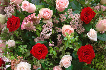 roses