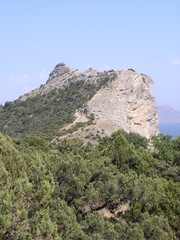 Naklejka premium the rock in the sky